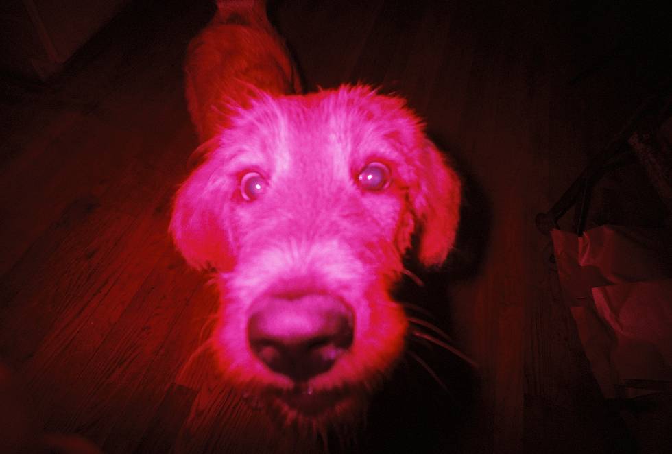 以 LomoApparat 拍摄 © Lomography
