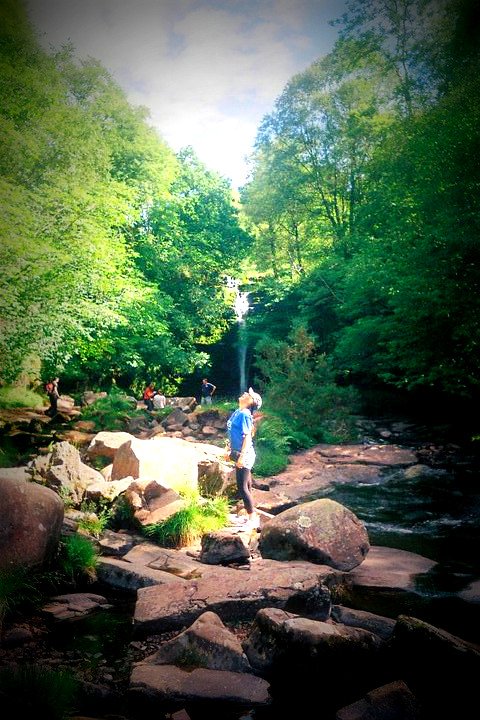 Getting Quality Pictures from a Disposable Camera