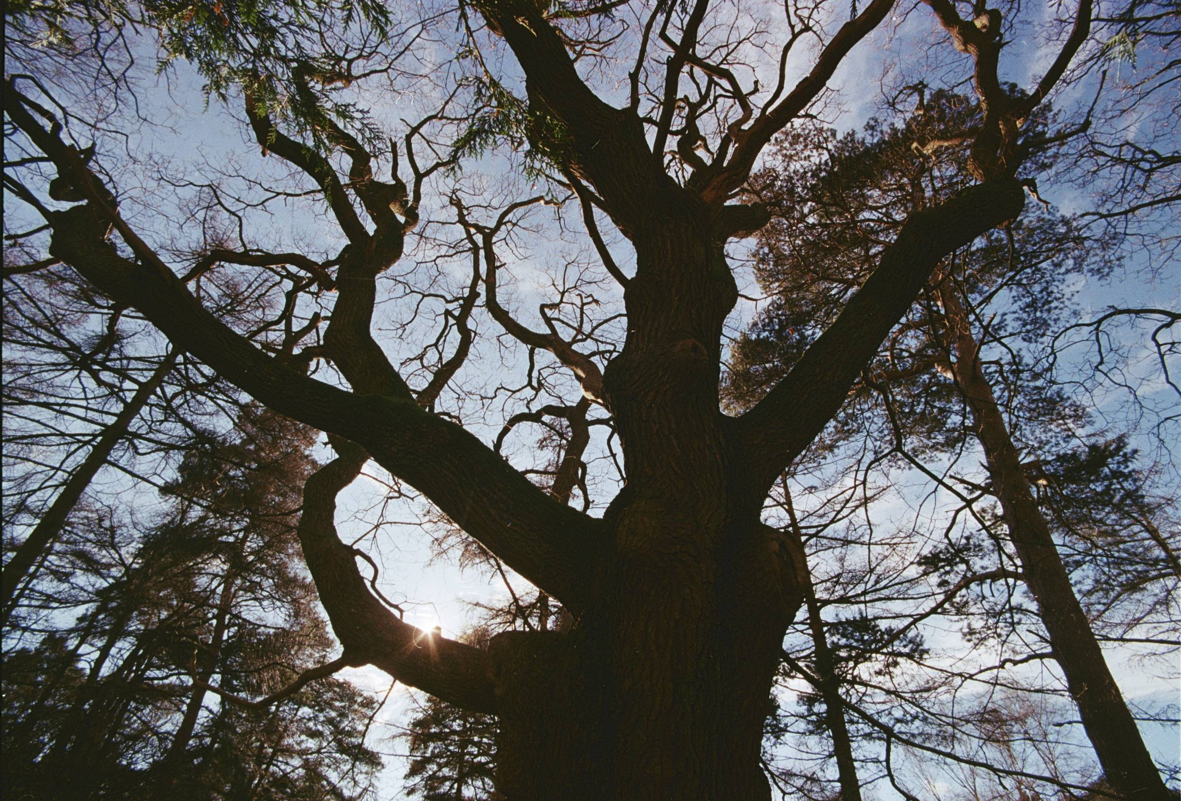 27191025 — landyman88 · Lomography