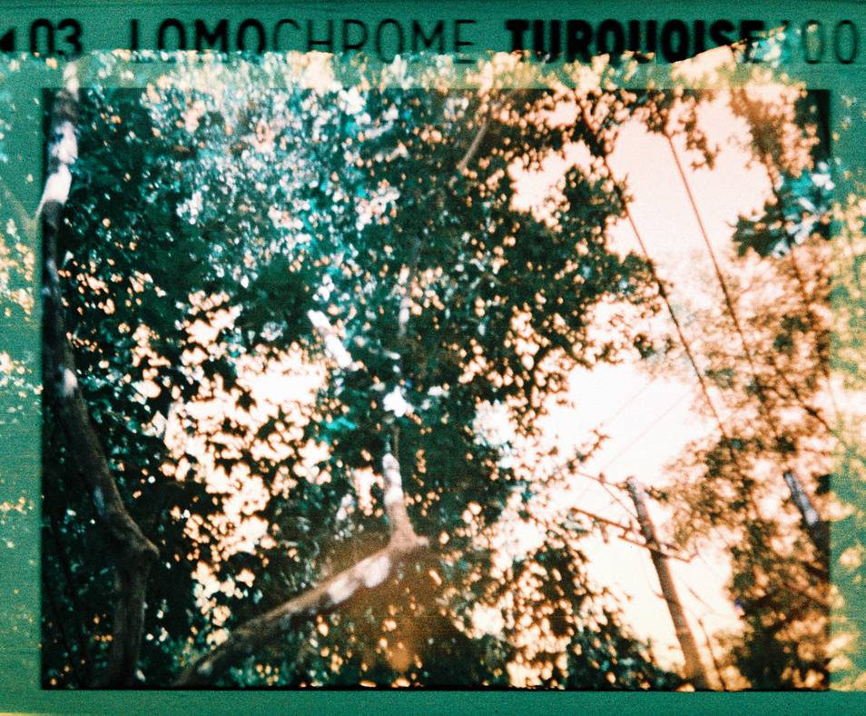 Credits: 葛欣｜LomoChrome Turquoise XR 100-400 110 绿松石胶卷