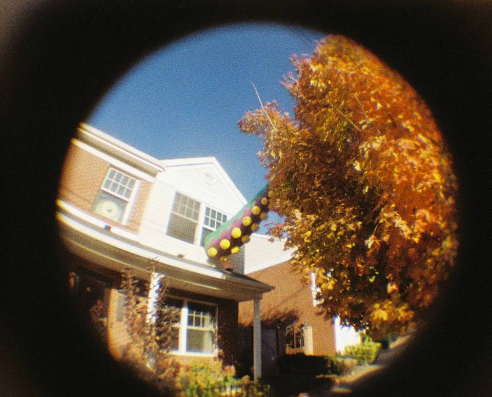 © Megan Swick | Fisheye Baby 迷你鱼眼镜头胶片相机 110 金属版 + Lomography CN Tiger 110 负片胶卷