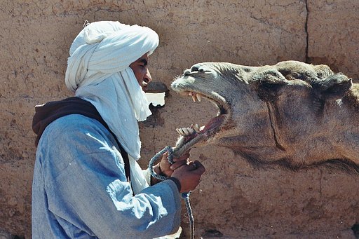 Travel and Documentary Award 2019