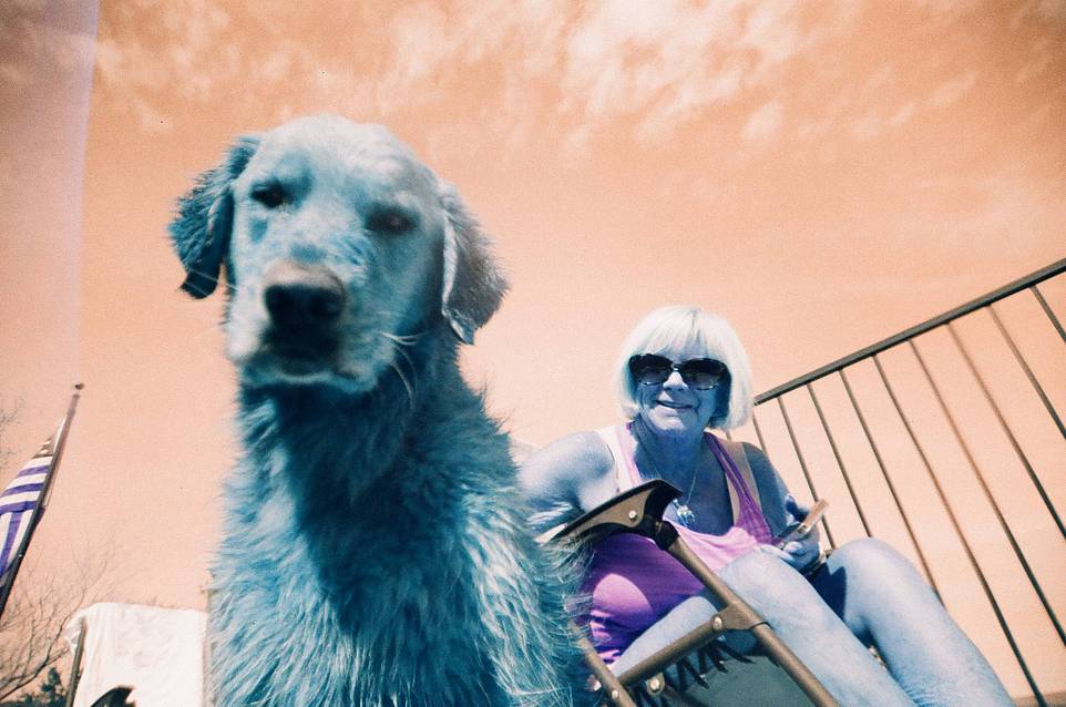 Credits: nucweacia94fine , sjstack , dianasaur , jects , astonuts & lomography