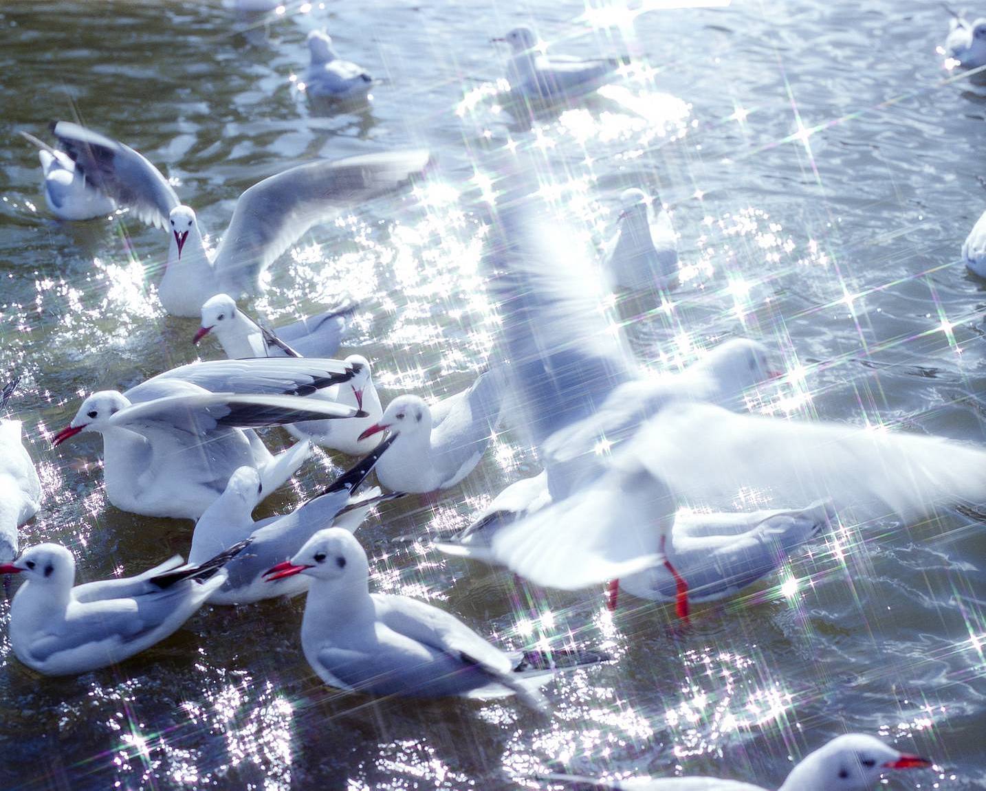 由 Gui Martinez 拍摄