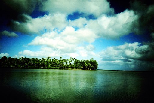 How's Life in Paradise?