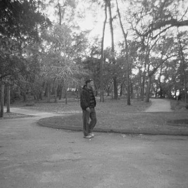 lucasverde