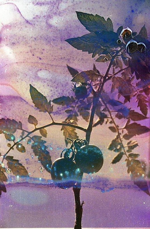 From the Archives: Five Analogue Experiments to Try Out