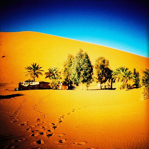 Moodboard de la semaine : oasis