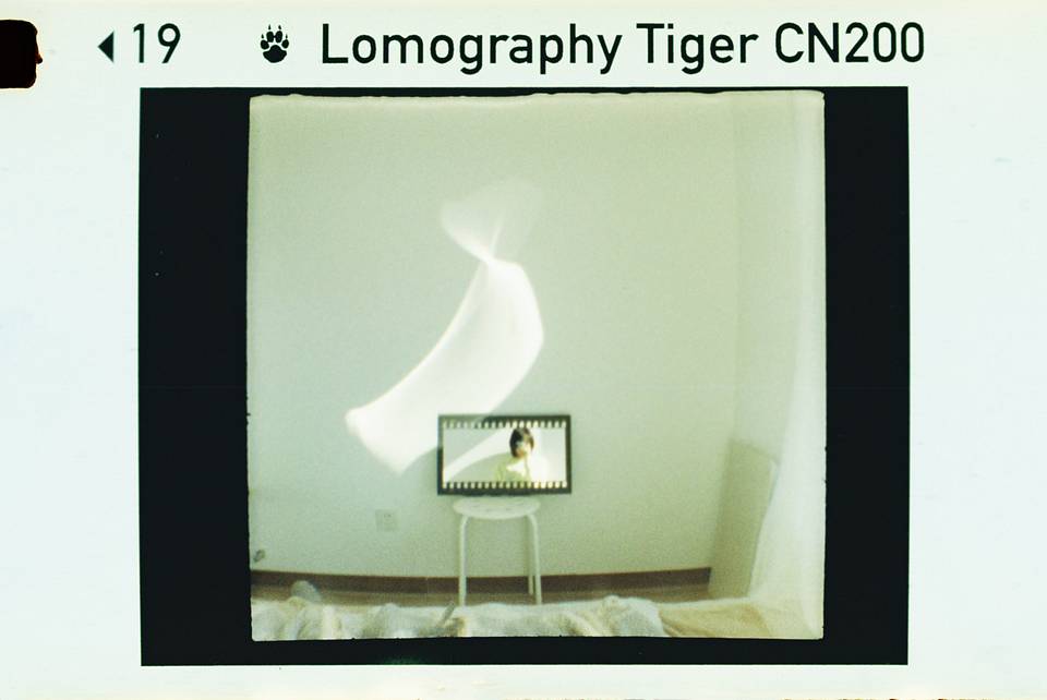 © 炉膛 | Diana Byby 110 胶片相机 &amp; Lomography Color Tiger 200 彩色负片