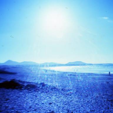 in_my_dreams