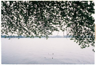 Lens: Minolta MC W.rokkor 28mm f2.8 · Lomography