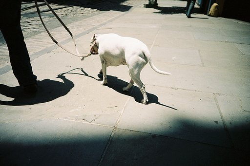 Kodak Portra 160nc (35mm, 160 iso)