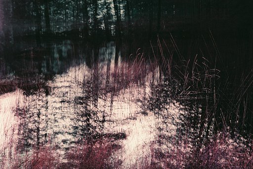 Monika Mitterdorfer: An Artistic View of the Real World 