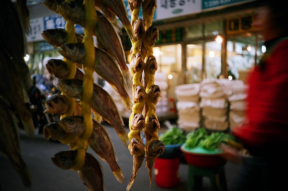 京东市场（Gyeongdong Market） 紧邻清潭站，自 20 世纪 60 年代起便始终人声鼎沸 —— 当时来自全国各地的商贩开始在此聚集。这座市场占地面积超过 23.5 万平方米，是首尔最大的传统市场。复古摊位、一眼望不到头的新鲜蔬果与海鲜摊位、街头小吃的香气，再加上人潮涌动的顾客，使其成为纪实街头摄影的绝佳地点。当你吃饱喝足、拍够照片后，不妨走进 The WilloW 稍作休憩。这座建筑始建于 1955 年，最初是一座饲料仓库（那时市场尚未建成），并于 2023 年被改造为创意空间。 （Photo by afterain ）