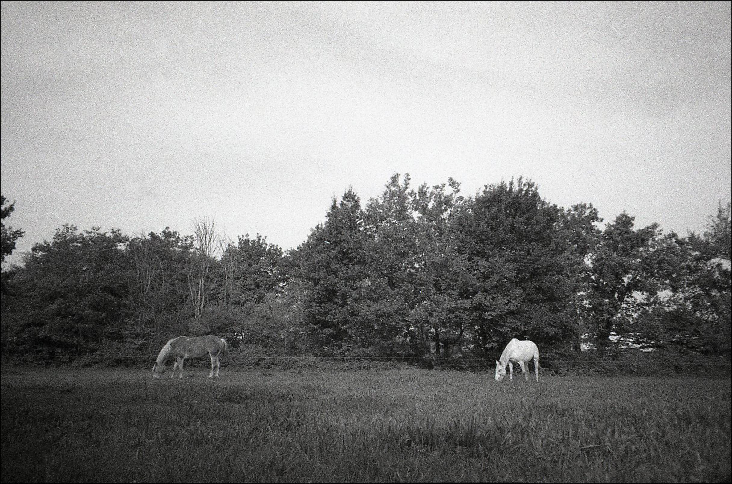 Przykładowe zdjęcie z filmu Ilford Delta 400
