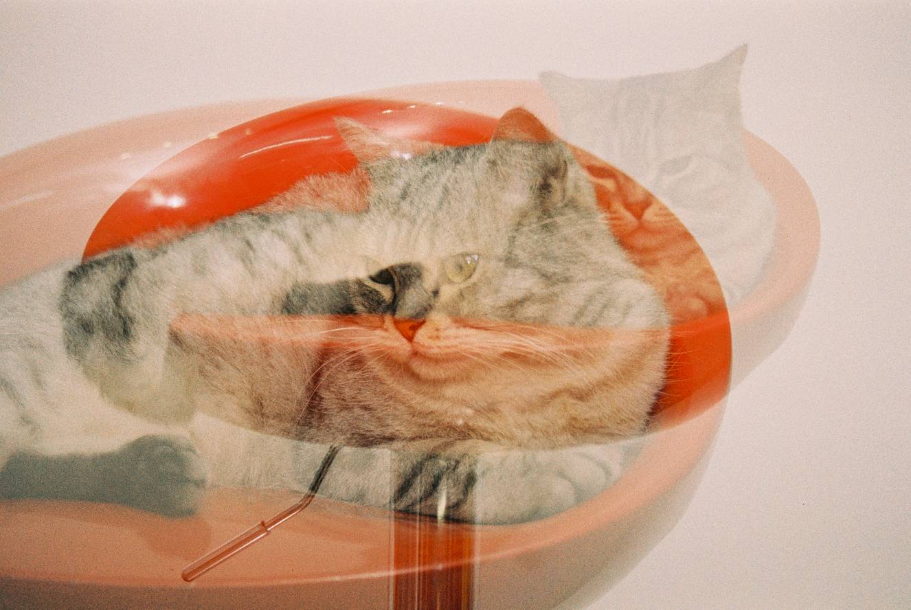 © 德铭 ｜ LomoChrome Classicolor ISO 200 135 经典版彩色负片