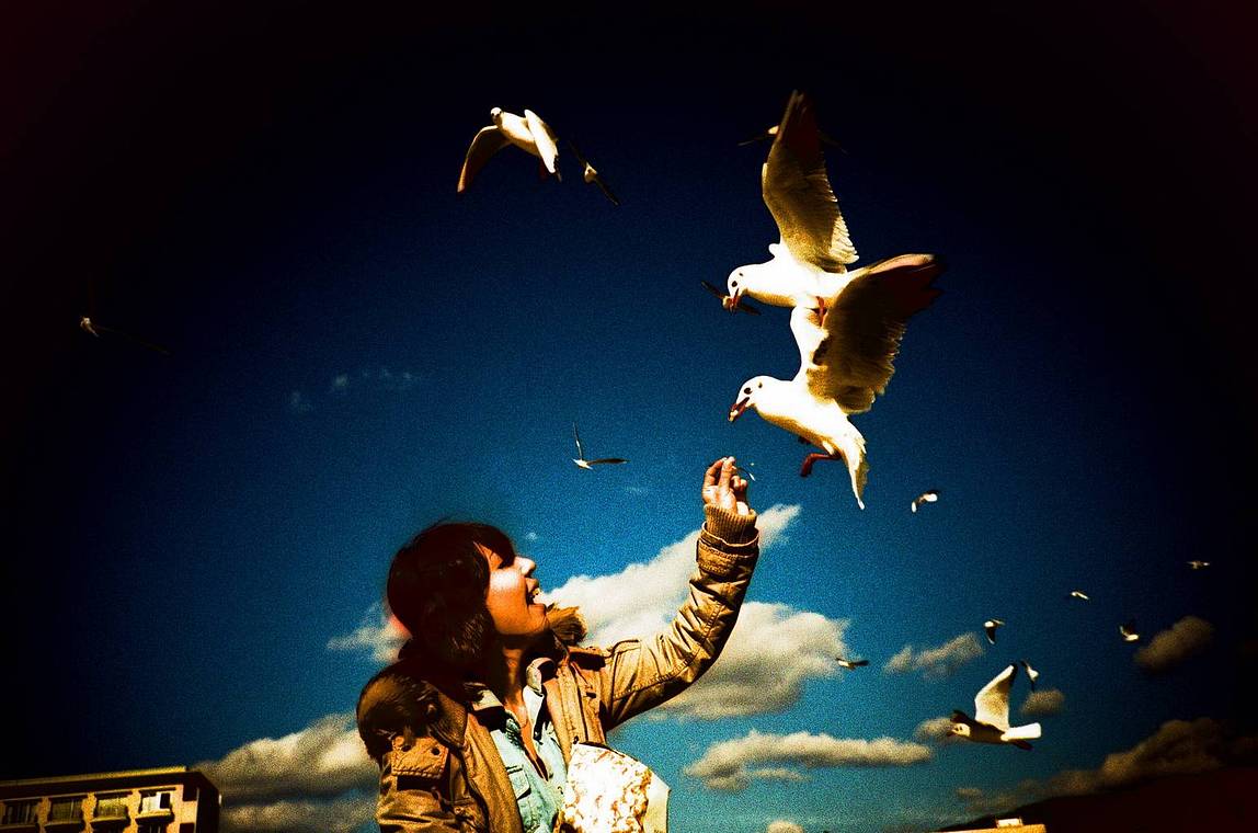 Credits: bloomchen, blue-0610, frauspatzi, neneohcs &amp; earlybird