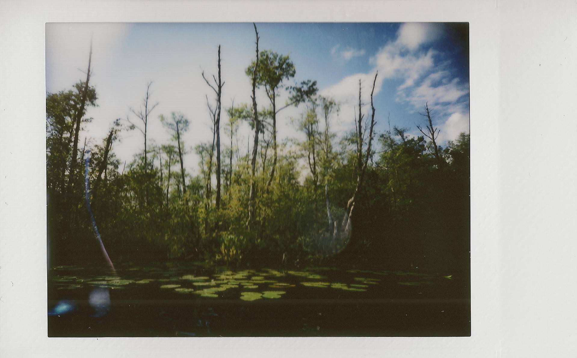 Photo by ghuebner, anthonystone, and dorotheesorin