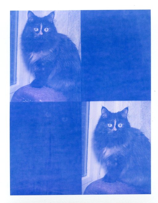 Moodboard de la semaine : bleu 