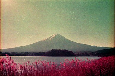 Lens: SMC Pentax-M 40mm f2.8 · Lomography