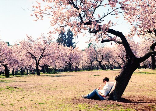 The Best Uses of Natural Color Photography in Lomographs
