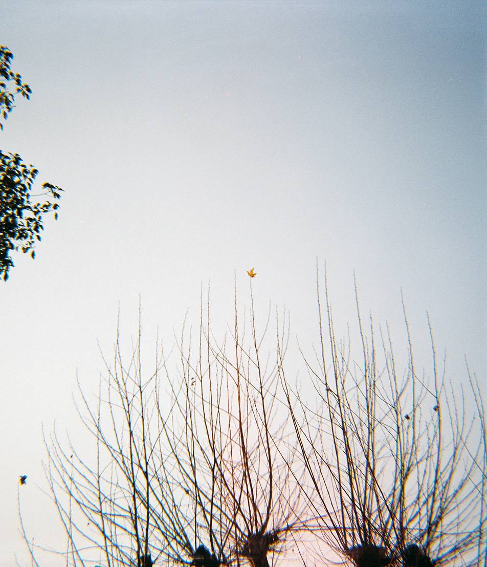 Photo by 顾佳瑜