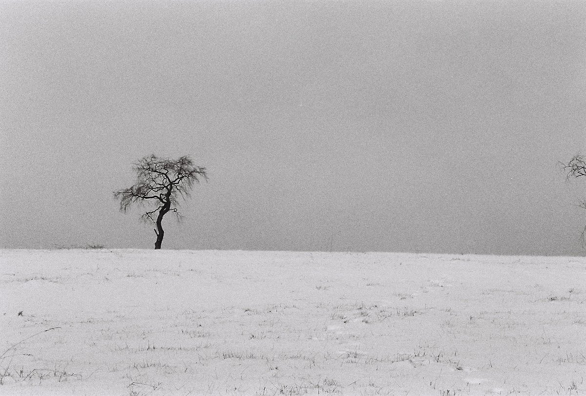 Camera: Pentax ZX-L · Lomography