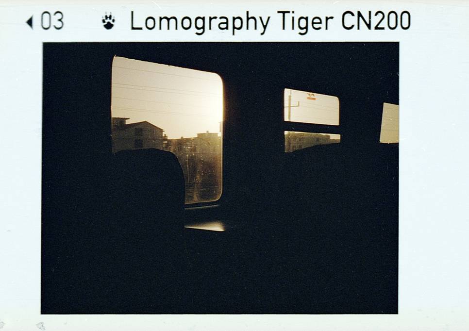 © Sena Zeng | 使用 Lomomatic 110 自动玻璃镜头胶片相机连闪光灯 - 赤橙特别版 拍摄