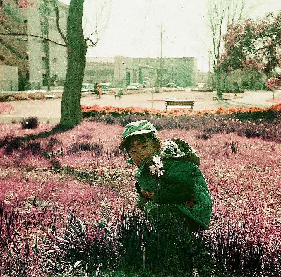 由装载紫调负片胶卷的 Lomo Lubitel 166+ 拍摄