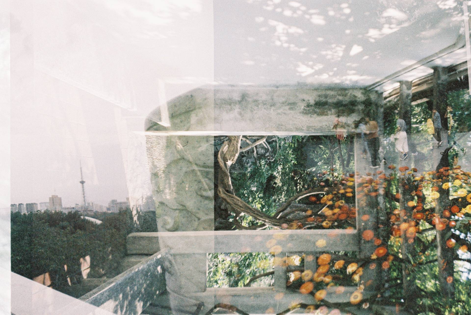 无锡 × 乌鲁木齐｜© 丁也、陈雪｜LomoChrome Color '92 ISO 400 135 日落版