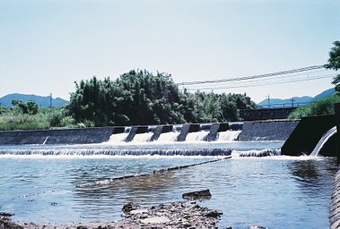 カメラ: Fujica Compact Deluxe · Lomography