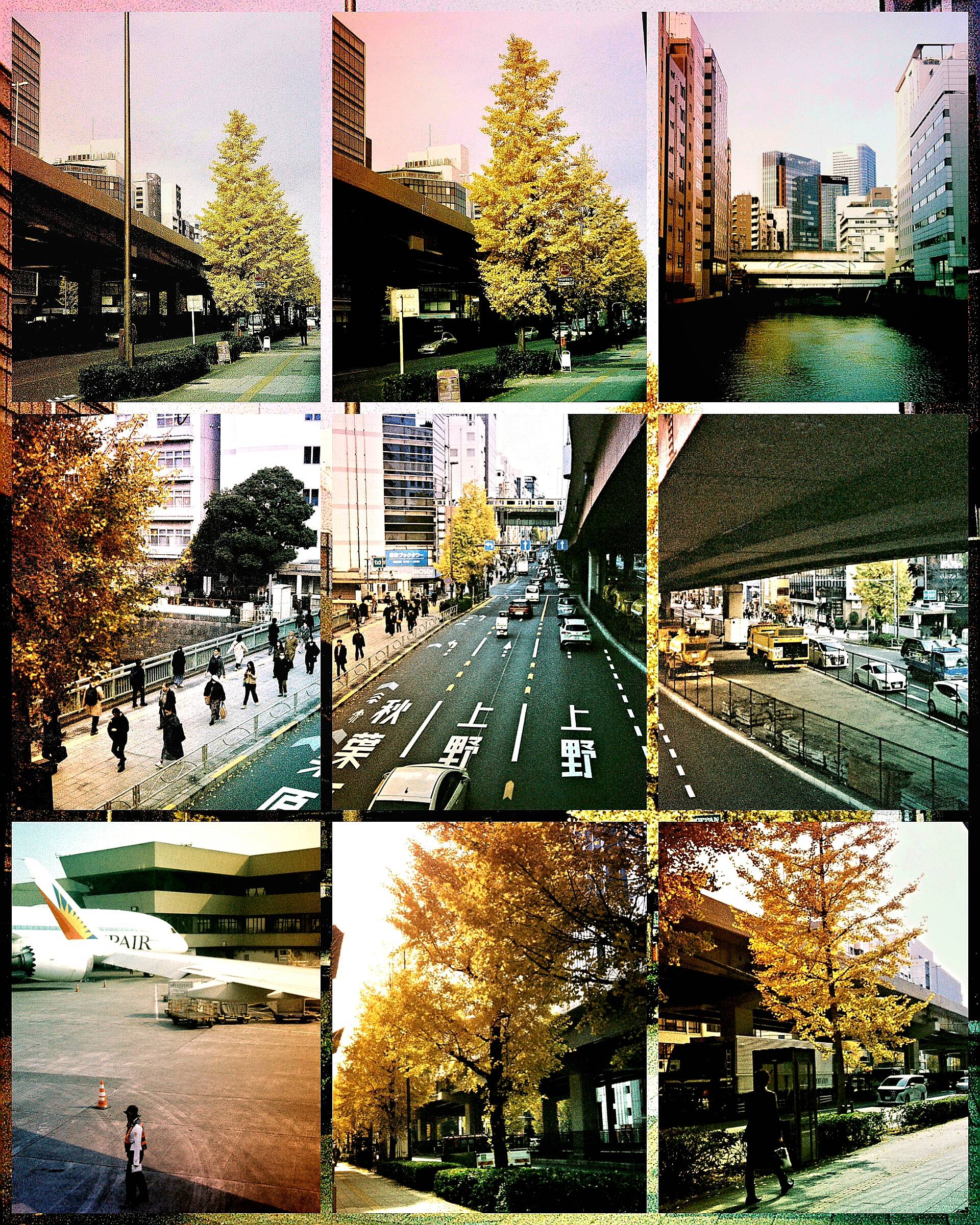 JUSKOLIY RAINBOW LENS FILTER