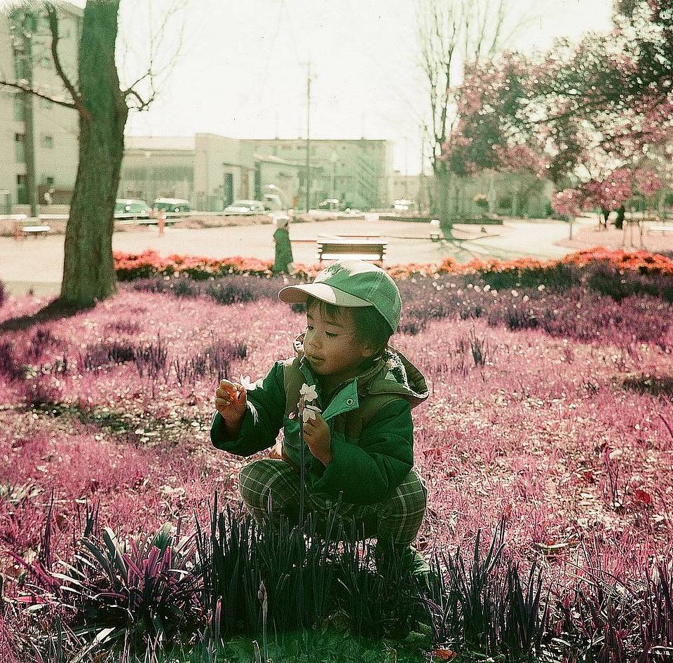由装载紫调负片胶卷的 Lomo Lubitel 166+ 拍摄