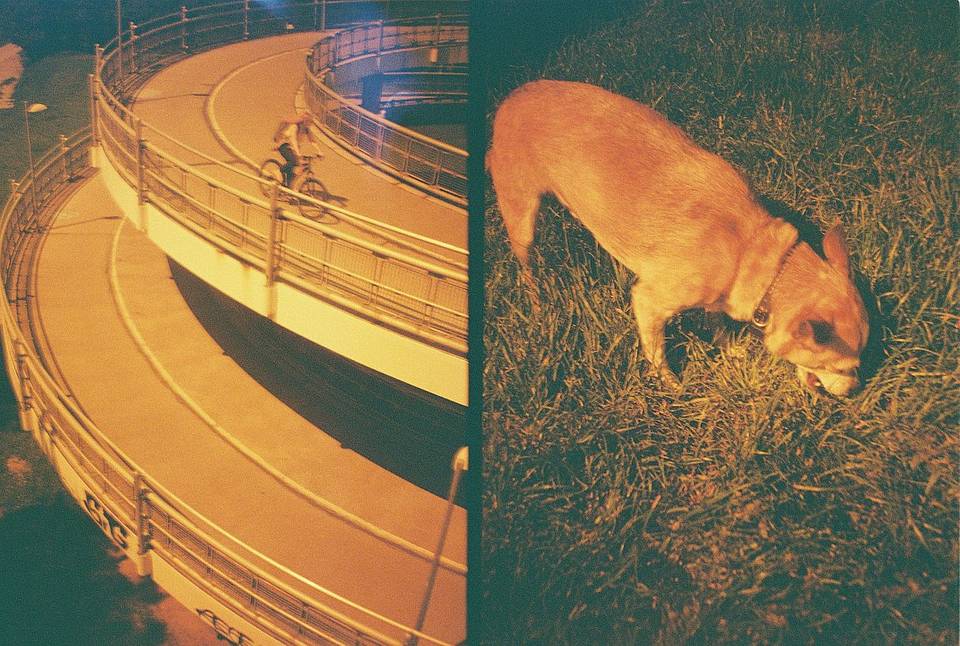 Credits: melissaperitore, charlie_cat, izzybennett &amp; burcik