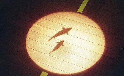 Lens: Nikon SERIES E 35mm f2.5 · Lomography