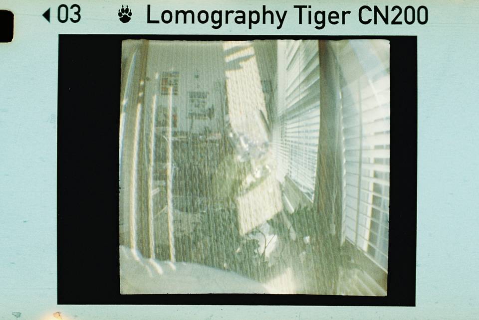 © 炉膛 | Diana Byby 110 胶片相机 &amp; Lomography Color Tiger 200 彩色负片