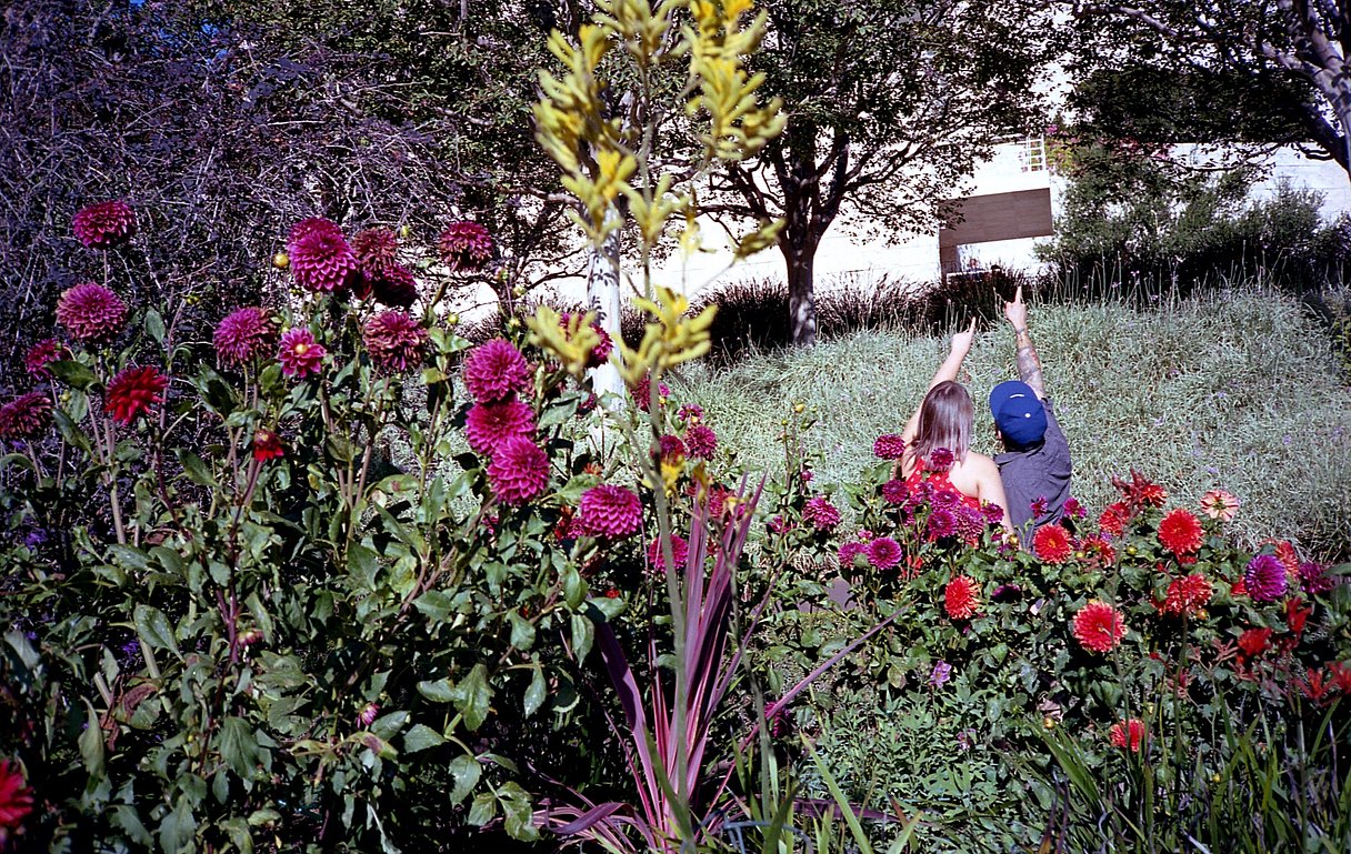 Przykładowe zdjęcie z filmu Kodak Ektar 100