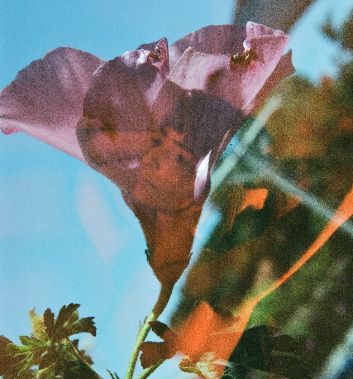 Mastering Multiple Exposures with Mike Walrond · Lomography