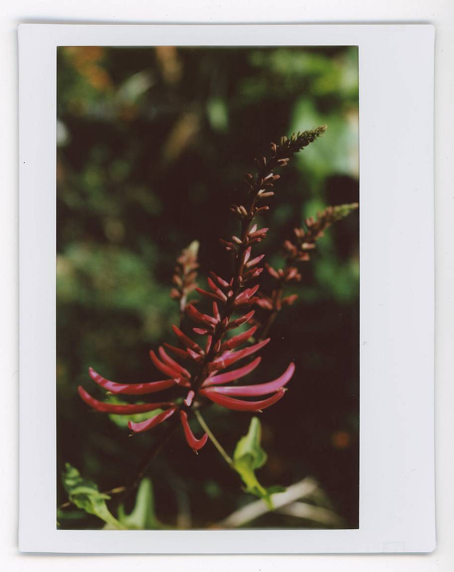 Photos by Corey Kolb