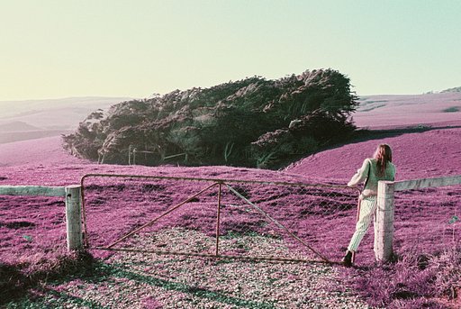 Mystical New Zealand Sceneries on LomoChrome Purple by Henry O. Head