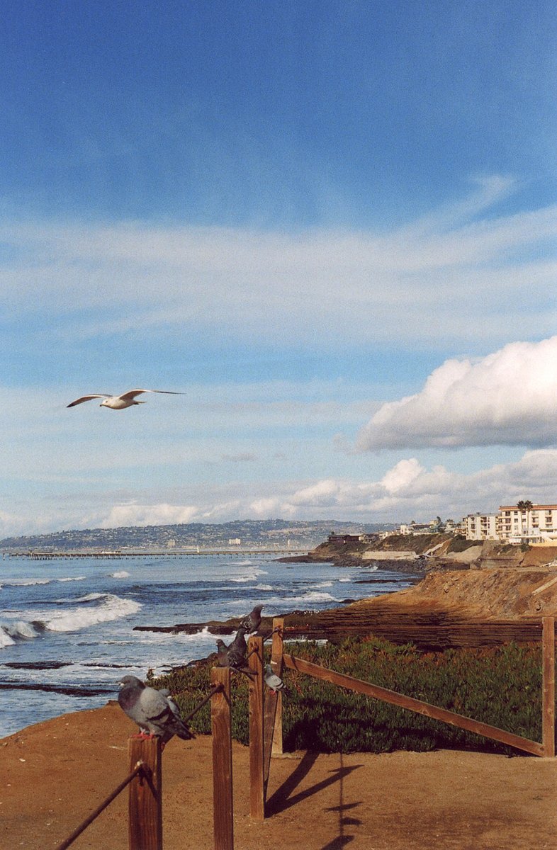 Camera: Pentax ZX-M · Lomography