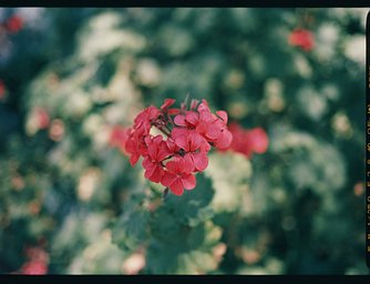 Lens: SMC Pentax-A 645 35mm f3.5 · Lomography