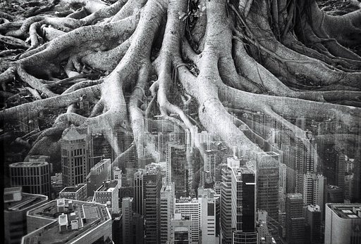 When Worlds Collide