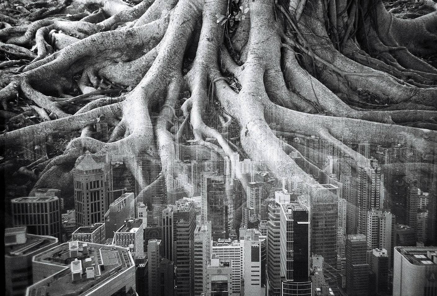 When Worlds Collide