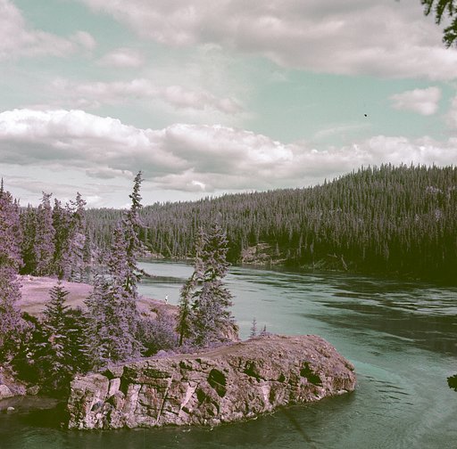 LomoChrome Purple 120 ISO 100–400