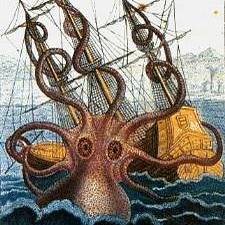 therealkraken