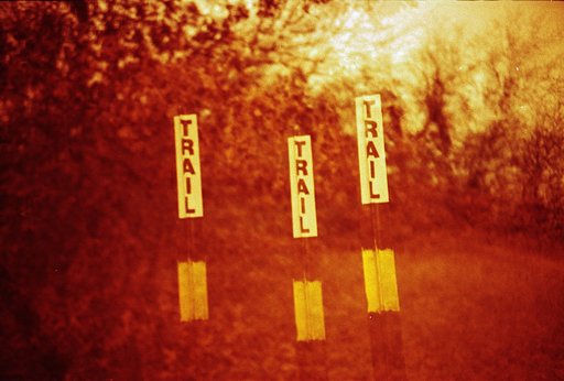 Creative Ways to Shoot a Familiar Place