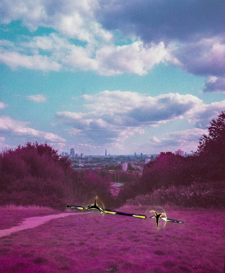 © Alia Romagnoli| LomoChrome Purple 120