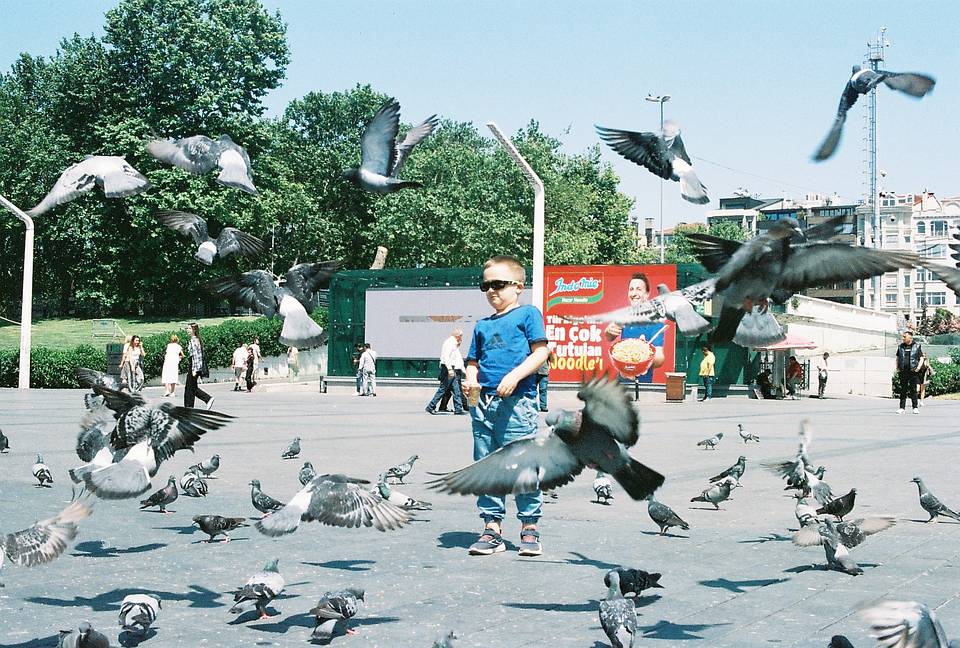 如果不在路上，我们在哪儿呢？——养乐多的土耳其 Lomo 胶片日记