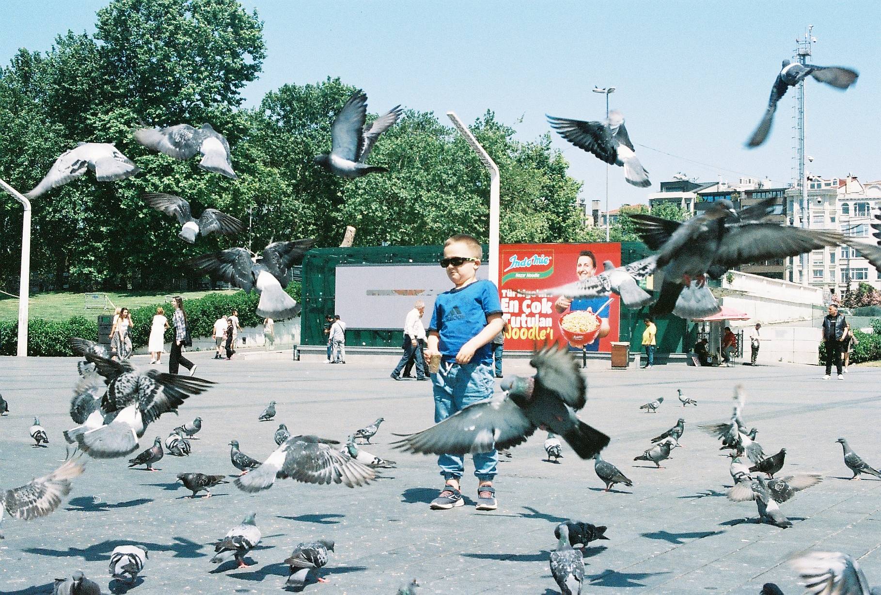 © 养乐多 &amp; 冇毛猫 | 使用 Lomography ISO 800 135 彩色负片胶卷拍摄